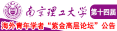 黑人大鸡吧操南京理工大学第十四届海外青年学者紫金论坛诚邀海内外英才！